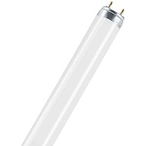 TL-lamp L 18 Watt / 965 (72 Biolux) - Osram