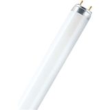 Fluorescentielamp - T8 - Warm Wit - G13 - 15W - 950lm