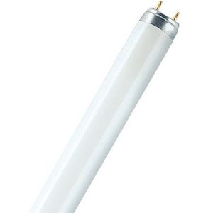 OSRAM TL-lamp Energielabel: G (A - G) G13 15 W Warmwit Buis (Ø x l) 26 mm x 451.6 mm 1 stuk(s)