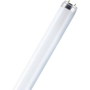 OSRAM TL-lamp Energielabel: G (A - G) G13 16 W Warmwit Buis (Ø x l) 25.5 mm x 734.2 mm 1 stuk(s)