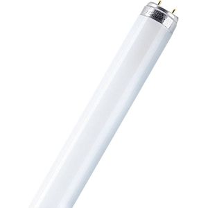 Osram G13 T8 TL-buis | 16W 2700K 1250lm 827  | 730mm