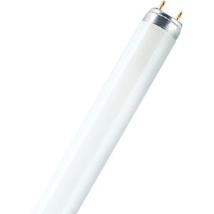 OSRAM TL-lamp Energielabel: G (A - G) G13 36 W Koudwit 840 Buis (Ø x l) 26 mm x 1213.6 mm 1 stuk(s)