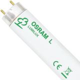 Osram - Lumilux® T8 TL-buis - Koel Wit - 18W - 1300lm - 60.4cm