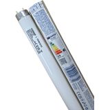 Osram - Lumilux® T8 TL-buis - Koel Wit - 18W - 1300lm - 60.4cm