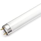 TL-lamp L 18 Watt 830 - Osram 18W warm wit, [energieklasse G]
