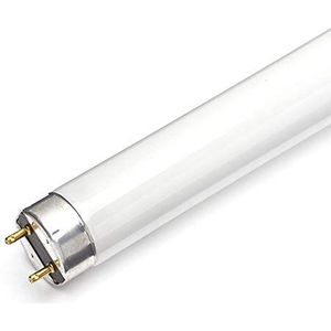 TL-lamp L 18 Watt 830 - Osram 18W warm wit, [energieklasse G]