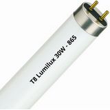 Osram - LUMILUX T8 - Fluorescentielamp - Daglicht - 30 W - 3 ft