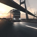 Osram - Original Line - Gloeilamp - P21W - 24V - 21W - BA15s - Doosje 10 Stuks