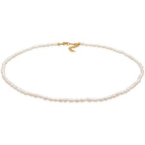 Elli PREMIUM Dames Halsketting Dames Choker Klassiek Trend met zoetwater gekweekte parels in 925 Sterling Zilver Verguld
