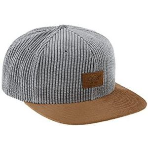 Reell 6 panel Suede cap snapback Silver Cord
