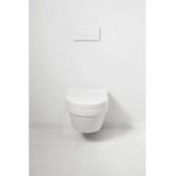 Villeroy & Boch Toiletpot Omnia Architectura