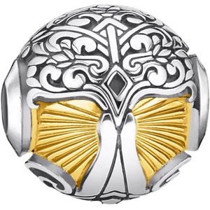 Thomas Sabo -Bead Charms 925_Sterling_Zilver K0345-966-39
