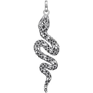 Thomas Sabo - Hanger - Zilver - Zirconia - Unisex