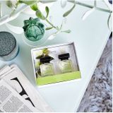 Ipuro Geurstokjes Essentials Lime Light 50 ml - 2 Stuks