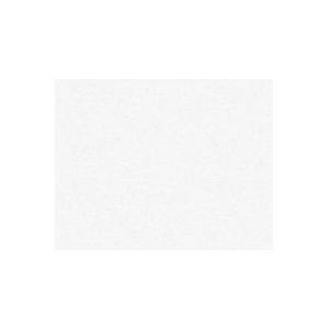 Architects Paper schildersvlies - overschilderbaar effen behang 953131 in wit glad - scheuroverbruggend maculatvlies 25,00 m x 0,75 m