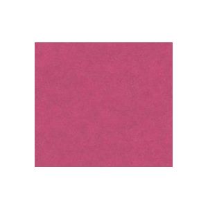 GEMELEERD BEHANG - Roze Rood Lila - AS Creation Neue Bude 2.0