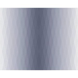 Esprit Vliesbehang Evening Shade behang in 3D-optiek geometrisch 10,05 m x 0,53 m grijs blauw Made in Germany 366761 36676-1