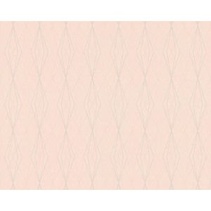 GRAFISCHE RUITEN BEHANG - Beige Roze - AS Creation Emotion Graphic