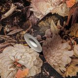 AS Creation - The Battle of Style - Vliesbehang - Goud - 10.05m x 53cm