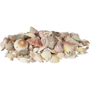 Relaxdays Schelpen set met Slakkenhuizen - 1 Kg - Zeeschelpen - Schelpenmix - Maritiem