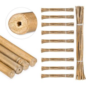250x bamboestokken - tonkinstokken - bamboestok - set - decoratie - 105 cm