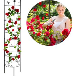 Relaxdays Plantenklimrek - Metaal - Plantensteun - Klimplantenrek - Plantenrek - 180 cm