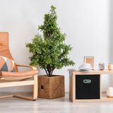 Relaxdays 4x opbergbox stof - opvouwbaar - opbergmand - 30 cm - kast organizer – rood