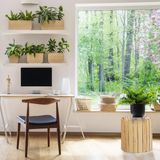 Relaxdays plantenkruk dennenhout, rond, natuurlijk design, voor bloempotten, plantenstandaard HxØ: 41 x 40,5 cm, natuur
