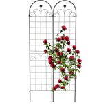 Relaxdays plantenklimrek - set van 2 - klimplantensteun - 220 x 50 cm - metaal - zwart