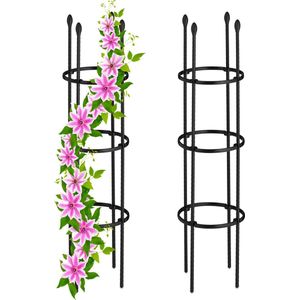 Plantensteun 2 stuks, 25cm 90 x 25 cm