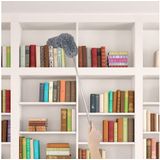 Plumeau - Grijs - Polyester - XXL Telescoopsteel