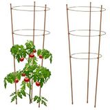 relaxdays Rankhilfe Braune Rankhilfe 76 cm 2er Set