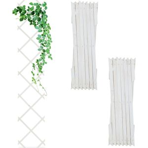 Plantensteun voor tuin, plantensteunpalen voor klimplanten, gouden