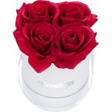 flowerbox - 1 roos - rond - wit - cadeau voor bruiloft - decoratie - rood