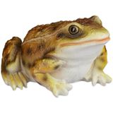 Gartenfigur Frosch, wetterfest, für Balkon, Terrasse, am Teich, Kunststein, sitzende Dekofigur Frosch, gelb - Relaxdays