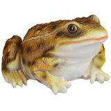 Gartenfigur Frosch, wetterfest, für Balkon, Terrasse, am Teich, Kunststein, sitzende Dekofigur Frosch, gelb - Relaxdays