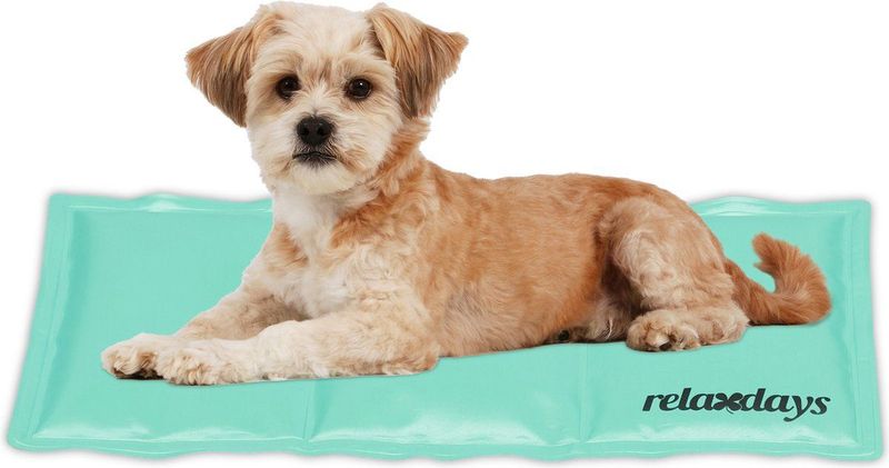 Relaxdays koelmat hond - 20 x 35 cm - gel - afwasbaar - voor huisdieren - kat - turquoise