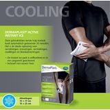 Dermaplast ACTIVE Instant Ice Small