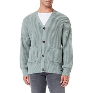 True Religion Herencardigan gebreide jas, pale jade, standaard