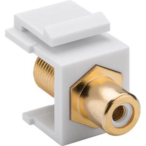 Keystone module F (v) - Tulp RCA (v) audio links (wit) verguld / wit