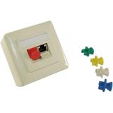RJ45 - Afsluitcovers - Zwart - 100 Stuks