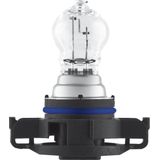 Osram - Mini - Gloeilamp - Achteruitrijlicht - Halogeen - 12 Volt - 24 Watt