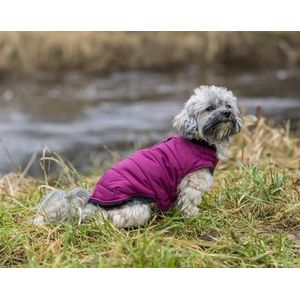 Hondenjas - Waterafstotend - Polyester - Met Fleece Voering