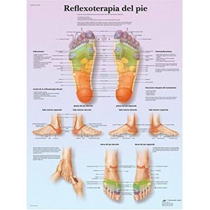3B Scientific papier, voetreflexoterapia, 1