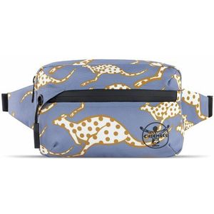 Chiemsee Jump N Fly Fanny pack 22 cm lila