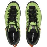 Wandelschoen Salewa Men Alp Trainer 2 GTX M Pale Frog Black-Schoenmaat 44