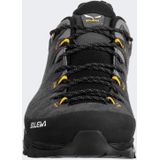 Salewa Alp Trainer 2 GTX Multisportschoenen (Heren |zwart |waterdicht)