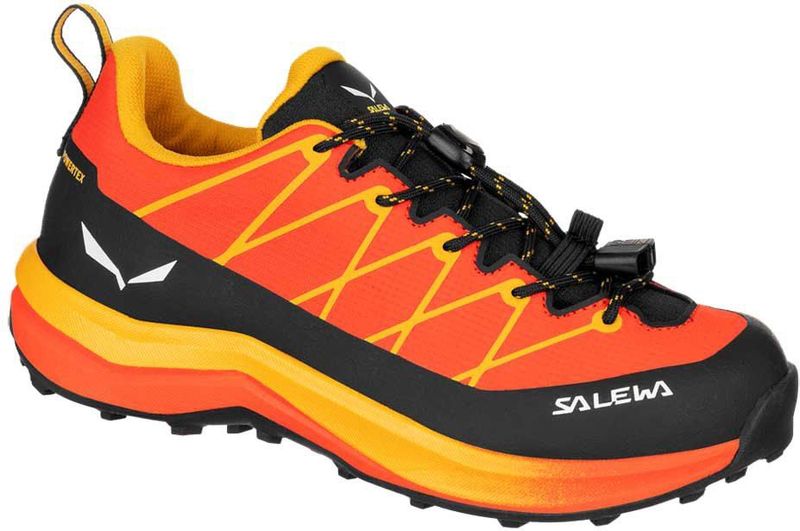 Salewa Kinderen Wildfire 2 PTX Schoenen