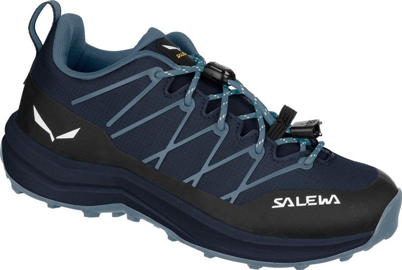 Salewa Kinderen Wildfire 2 Schoenen
