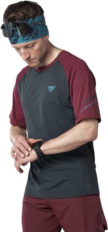 Dynafit Alpine Pro T-shirt Met Korte Mouwen Rood Grijs L Man